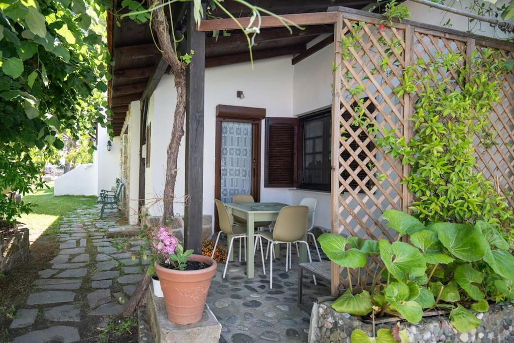 Traditionelles Appartement Athos Shadow Am Meer Paralia Sikias Dış mekan fotoğraf