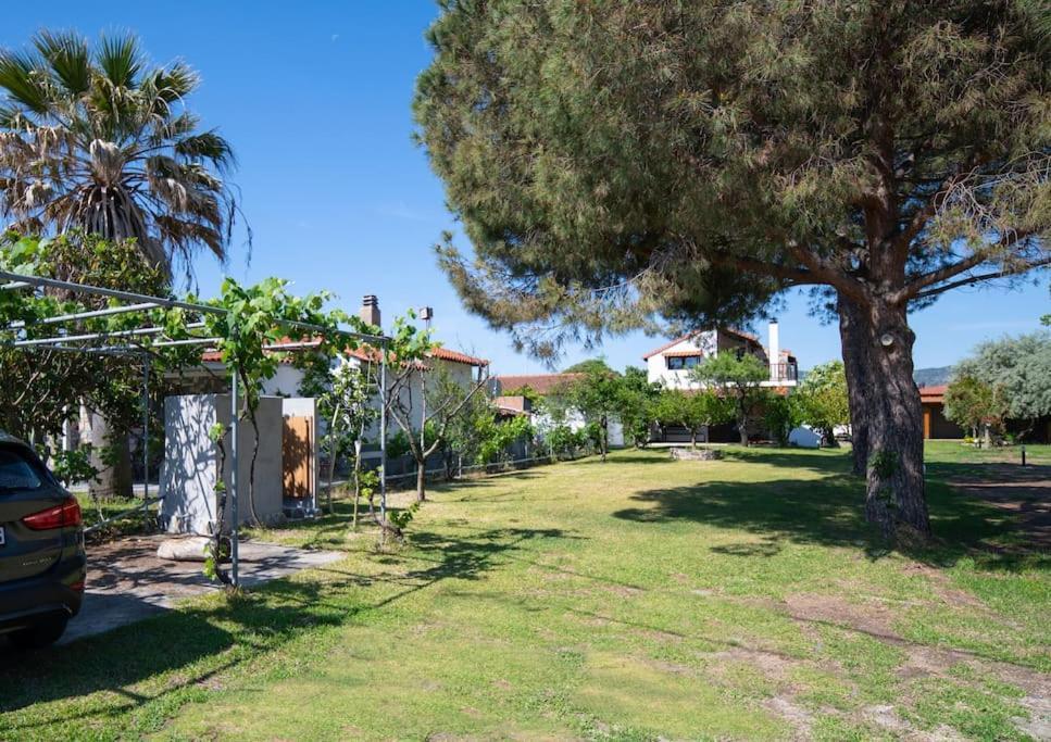 Traditionelles Appartement Athos Shadow Am Meer Paralia Sikias Dış mekan fotoğraf