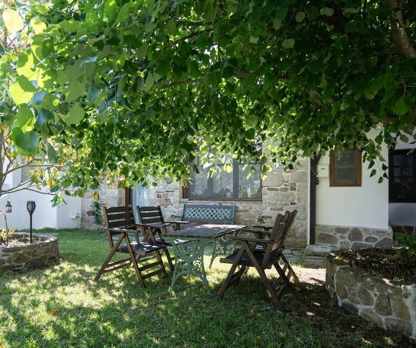 Traditionelles Appartement Athos Shadow Am Meer Paralia Sikias Dış mekan fotoğraf