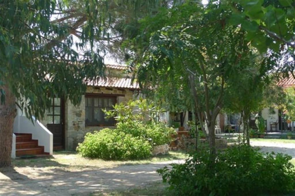 Traditionelles Appartement Athos Shadow Am Meer Paralia Sikias Dış mekan fotoğraf