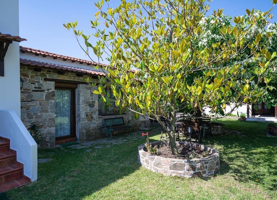 Traditionelles Appartement Athos Shadow Am Meer Paralia Sikias Dış mekan fotoğraf