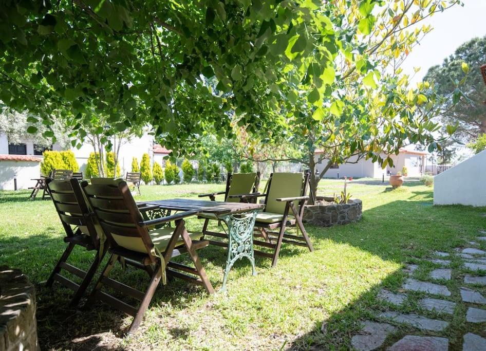 Traditionelles Appartement Athos Shadow Am Meer Paralia Sikias Dış mekan fotoğraf