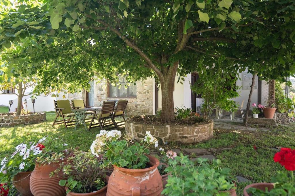 Traditionelles Appartement Athos Shadow Am Meer Paralia Sikias Dış mekan fotoğraf