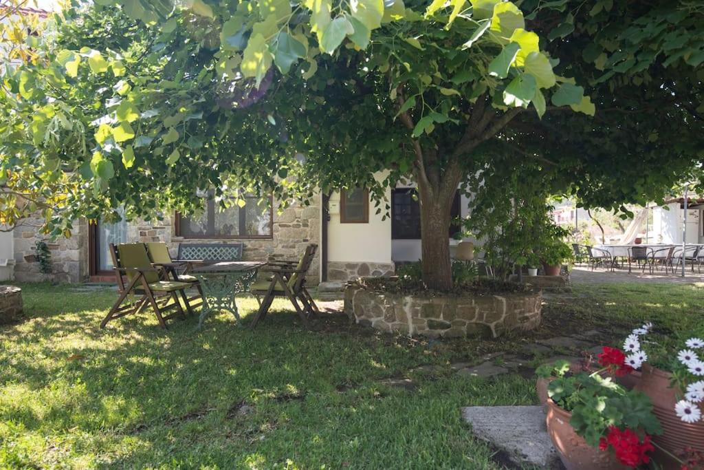 Traditionelles Appartement Athos Shadow Am Meer Paralia Sikias Dış mekan fotoğraf